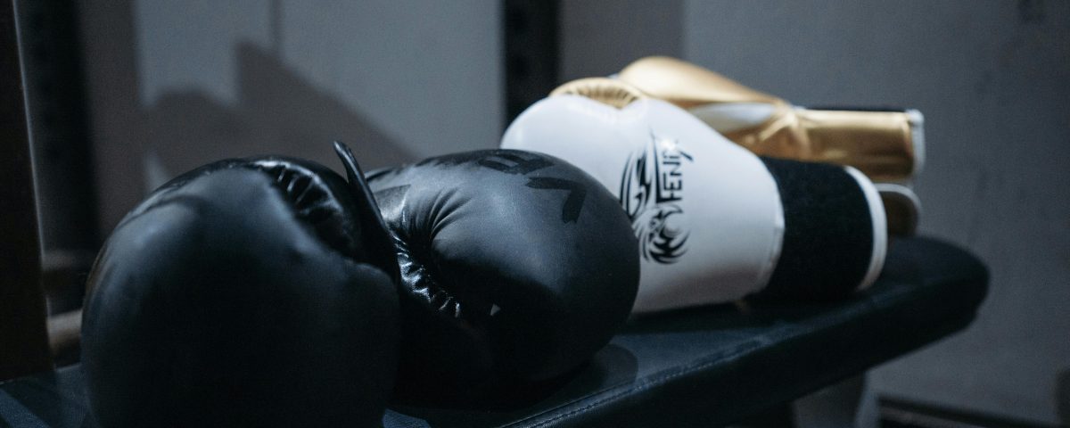 Best Boxing Gloves for Sports Fans: Complete Guide (2026)