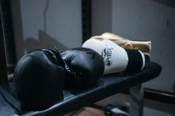Best Boxing Gloves for Sports Fans: Complete Guide (2026)