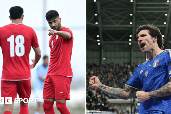 Iran's World Cup Participation: Fan Reactions and Implications