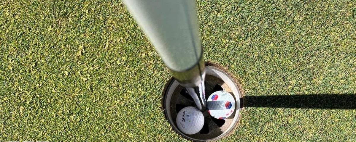 Golfers Score Holes-in-One: A Rare PGA Tour Moment