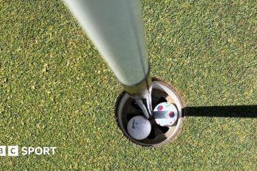 Golfers Score Holes-in-One: A Rare PGA Tour Moment