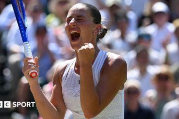 Kostyuk's Grand Slam Journey: Fans Celebrate Wimbledon Triumph